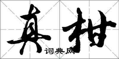 胡问遂真柑行书怎么写