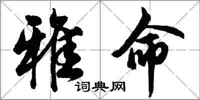 胡问遂雅命行书怎么写