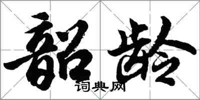 胡问遂韶龄行书怎么写