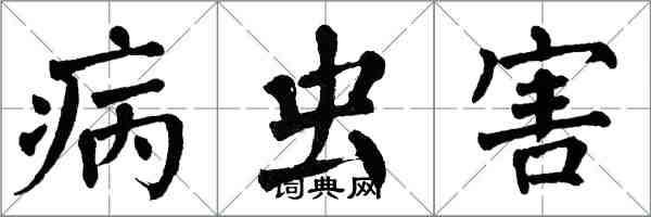 翁闿运病虫害楷书怎么写