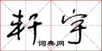 王冬龄轩宇草书怎么写