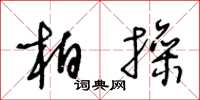 王冬龄柏操草书怎么写