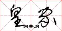 王冬龄皇家草书怎么写