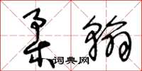 王冬龄柔翰草书怎么写
