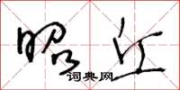 王冬龄昭丘草书怎么写