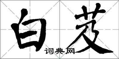 翁闿运白芨楷书怎么写