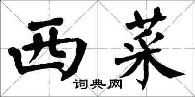 翁闿运西菜楷书怎么写