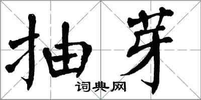 翁闿运抽芽楷书怎么写