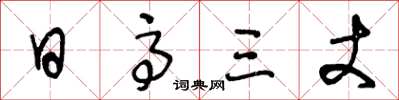 王冬龄日高三丈草书怎么写