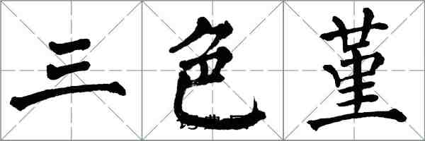 翁闿运三色堇楷书怎么写