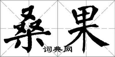 翁闿运桑果楷书怎么写