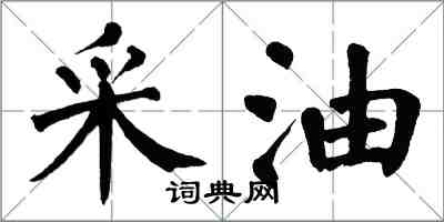 翁闿运采油楷书怎么写