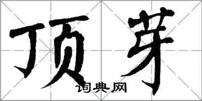 翁闿运顶芽楷书怎么写