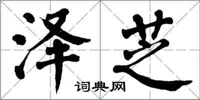 翁闿运泽芝楷书怎么写