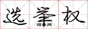 庞中华选举权行书怎么写