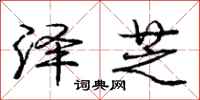 庞中华泽芝行书怎么写
