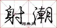 庞中华射潮行书怎么写