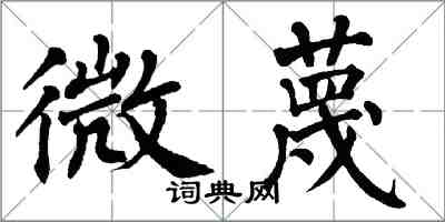 翁闿运微蔑楷书怎么写