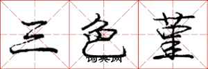 庞中华三色堇行书怎么写