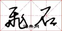 王冬龄飞石草书怎么写