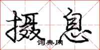 庞中华摄息行书怎么写