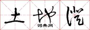 王冬龄土地证草书怎么写