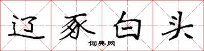 袁强辽豕白头楷书怎么写