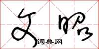 王冬龄文昭草书怎么写