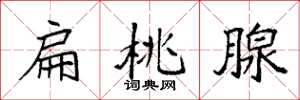 袁强扁桃腺楷书怎么写