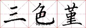 丁谦三色堇楷书怎么写