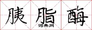 袁强胰脂酶楷书怎么写