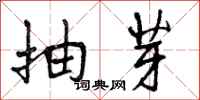 曾庆福抽芽行书怎么写
