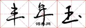 曾庆福丰年玉行书怎么写