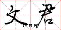 曾庆福文君行书怎么写