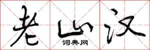曾庆福老山汉行书怎么写