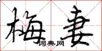 曾庆福梅妻行书怎么写