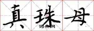 周炳元真珠母楷书怎么写