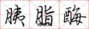 荆霄鹏胰脂酶行书怎么写