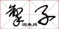王冬龄掣子草书怎么写