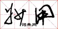 刘少英妙用草书怎么写