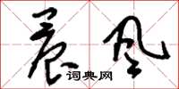 刘少英晨风草书怎么写