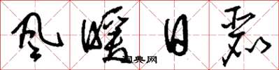 刘少英风暖日丽草书怎么写