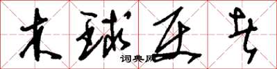 刘少英木球使者草书怎么写