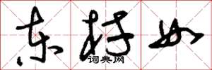 刘少英东村女草书怎么写