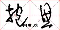 刘少英抱思草书怎么写