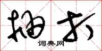 刘少英抽打草书怎么写
