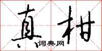 钱沛云真柑行书怎么写