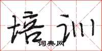 段相林培训行书怎么写