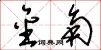 刘少英金角草书怎么写
