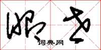 刘少英昭世草书怎么写